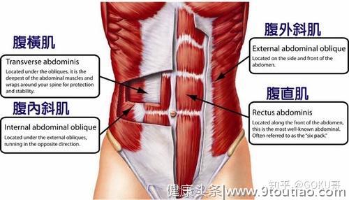为什么腹肌一直练不出来？