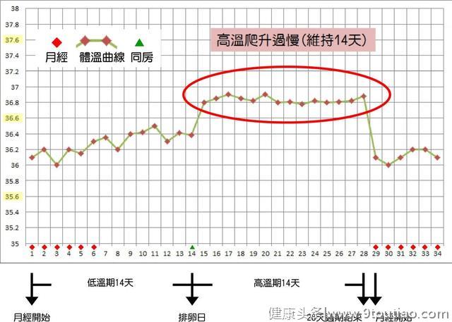 一次受孕成功？如何快速知道自己怀孕？小胎儿如何形成？答案在此