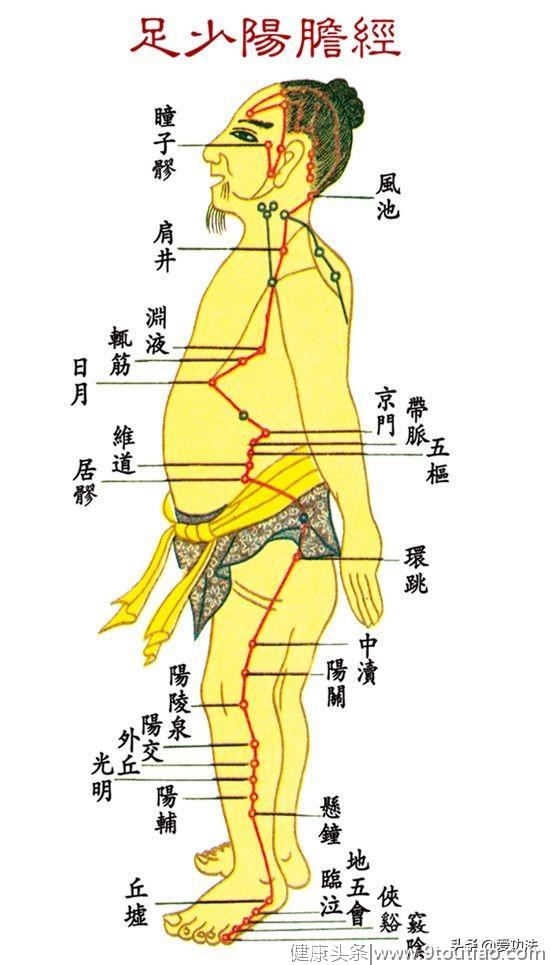 美醉了，十二经络穴位即景诗