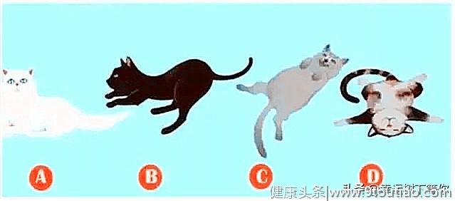 心理测试：透过你养的猫咪，立马就能了解你的那些小心思！