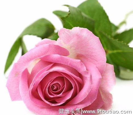 心理测试；你最想收到哪枝玫瑰花，测你什么时候能遇到真爱？