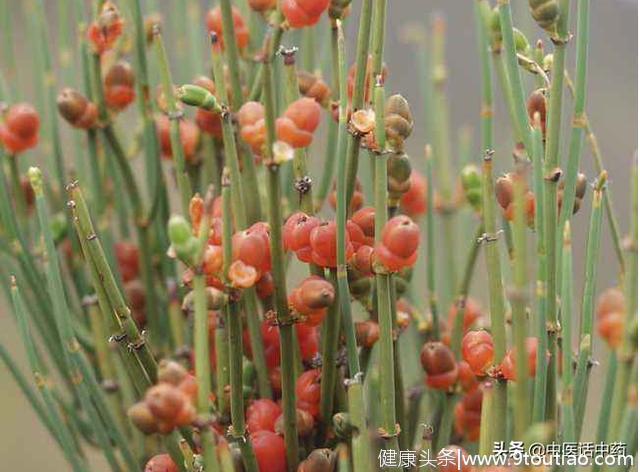 中医药很神奇:我用经方治感冒后咳喘（经方的药，时方的量）