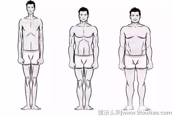 不同身型的人男生们该怎样锻炼，才能获得好身材？