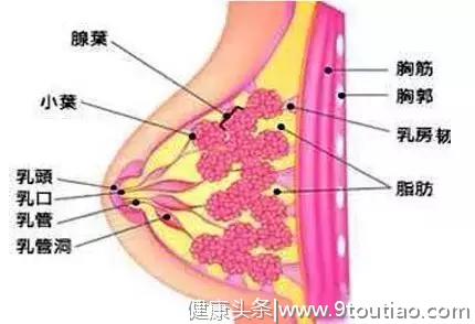 经期乳房胀，愁多梦不成