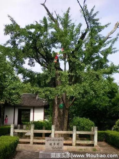 魔都“天然健身房”攻略助你免费减脂！盘点沪上登山跑步好去处！