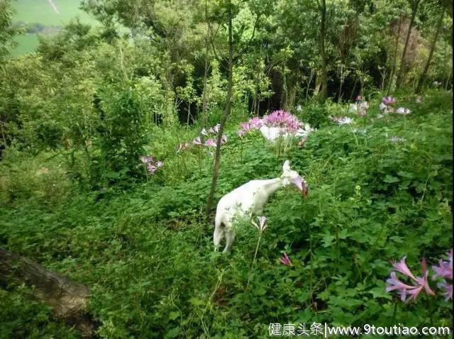 魔都“天然健身房”攻略助你免费减脂！盘点沪上登山跑步好去处！