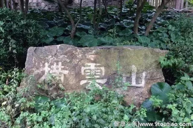 魔都“天然健身房”攻略助你免费减脂！盘点沪上登山跑步好去处！