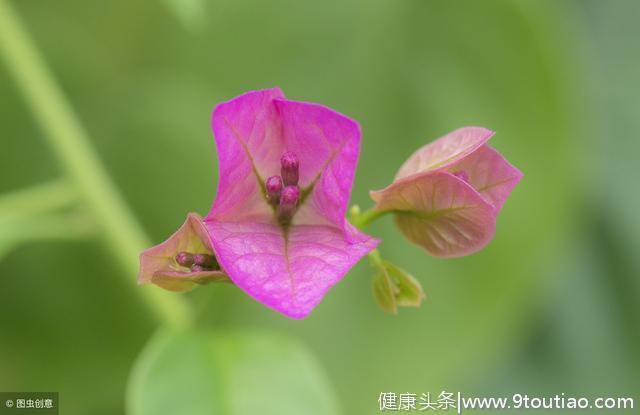 心理测试：这两张图你能找出几处不同？测你与生俱来的超强天赋！