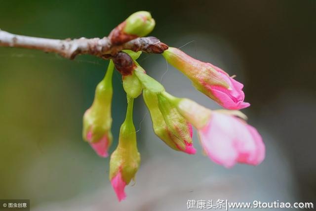 心理测试：这两张图你能找出几处不同？测你与生俱来的超强天赋！