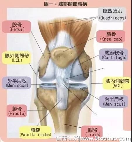 膝骨性关节炎的康复治疗.