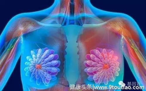 乳腺癌和卵巢癌一经确诊就需要进行基因检测