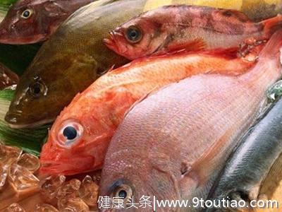  春季经常吃鱼养生效果好，尤其是糖尿病人群，最应该吃这几种鱼