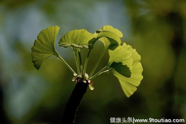 《经典中医启蒙》中医眼中的人体：精、气、形、神