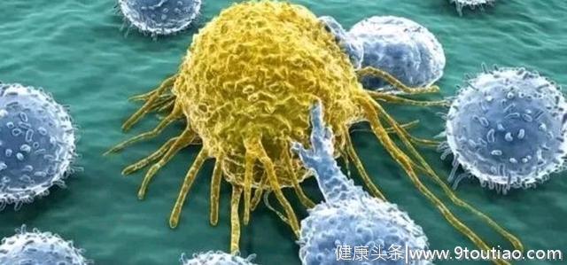 让癌细胞被免疫细胞“吃掉”！对抗癌症，这种最新方法简单有效