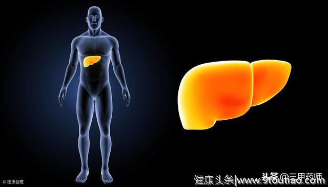 脂肪肝的“元凶”到底是谁？