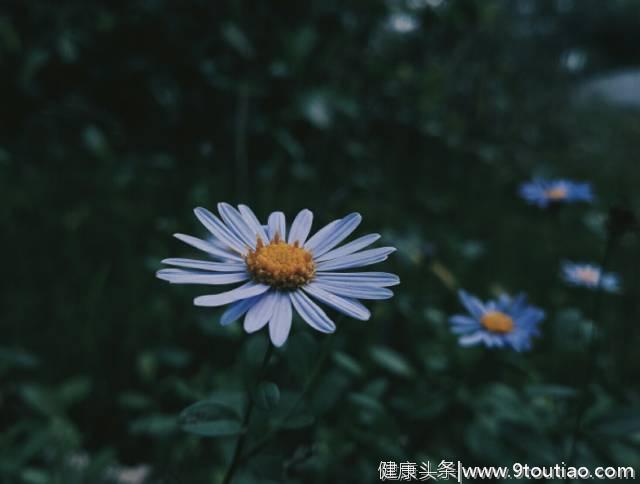 抑郁绝望时告诉自己：只要生命在，一切都可以改变