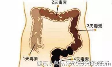 这下有救了，便秘的分型与中医辨证治疗