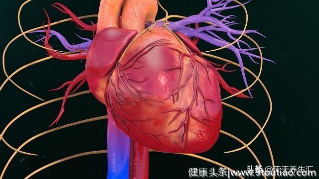 据统计：冠心病患者得高血压的占比高达七层，专家为你讲述实情