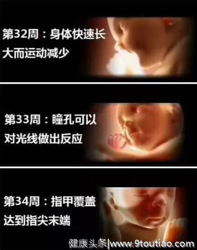 养出聪明宝宝从孕期开始，详解40周宝宝在子宫里发生的神奇变化