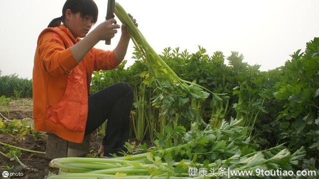 老吾老曰：这五种食疗方子是脂肪肝这种疾病的福音