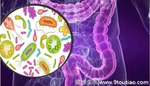 怎样对抗癌症？研究发现：这种细菌决定癌症免疫疗法是否有效