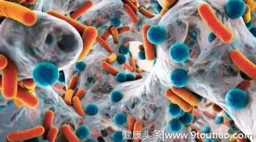 怎样对抗癌症？研究发现：这种细菌决定癌症免疫疗法是否有效