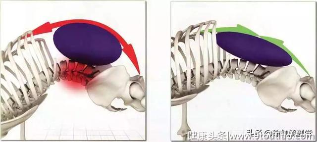 为什么你练的瑜伽会腰痛？那是你这5大要点没掌握！