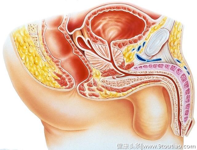 为什么前列腺癌发现时多半已晚期？50岁以上男性每年要查PSA？