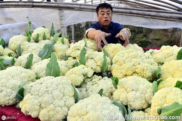 老吾老曰：最棒的这几种养生食谱，有多少人不知道。