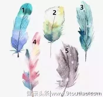 心理测试：五根羽毛你最偏爱哪个？测你年龄和你心理状态匹配吗？