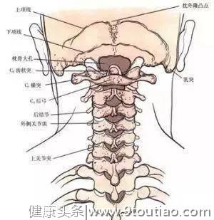 颈椎不好为什么全身得病？看看颈椎的样子就知道了