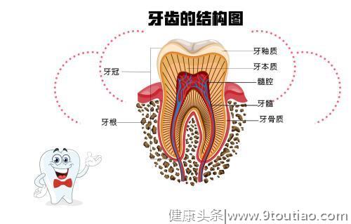 你还在美白你的牙齿？新研究表明：这种行为正悄悄伤害你的牙齿！