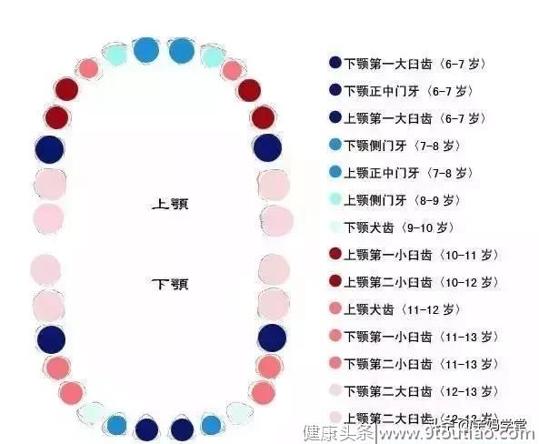 一千VS六万，治好孩子的满口坏牙到底要花多少钱？