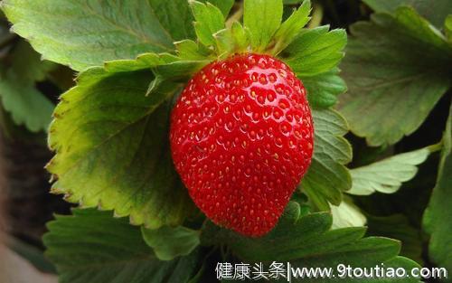 心理测试：觉得哪一个草莓最香甜诱人 ？测你今年会收获什么喜悦