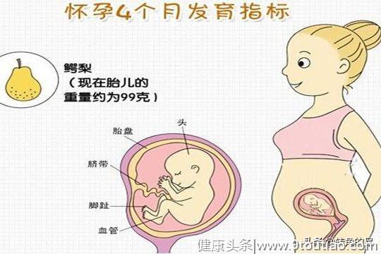 怀孕四个月胎儿图是怎么样的？注意事项又是什么