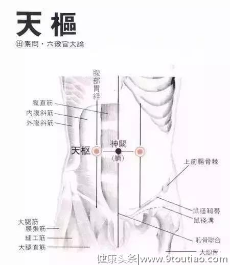 乳腺增生和乳腺纤维瘤癌变的风险如何？中医教你调理