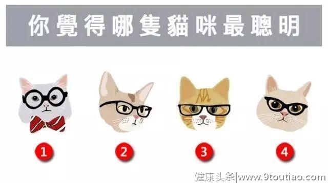 心理测试：选一只最聪明的猫咪，测试你的情感路线