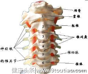 为什么你的颈椎病越来越厉害，这些小细节你知道吗？