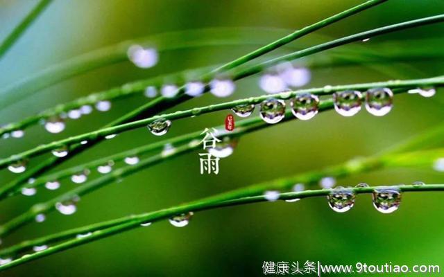 今儿谷雨，吃什么又讲究又健康又养生？北京人最爱这口！