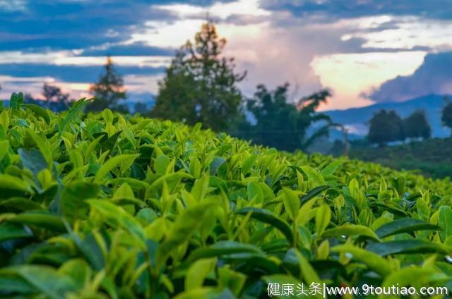 除了“谷雨茶”，这3种时令食材千万别错过，错过等一年！