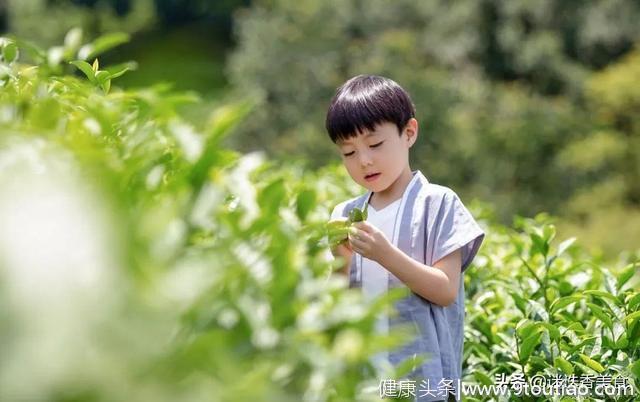 晚春养生正当时，10道菜教你吃对谷雨！