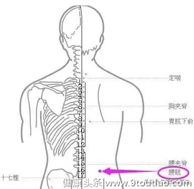 不论男女 身体这处越深活得越久 养生两搓越搓越健康（建议收藏）