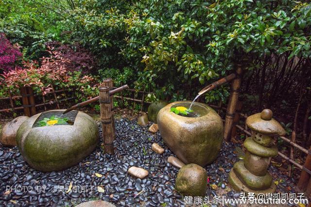 这处温泉藏匿在苏浙皖三省交界的千亩竹海里，有独家的养生秘笈