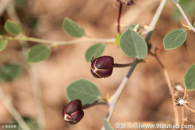 人类无法抗拒的十大心理学效应，每一条都发人深省。