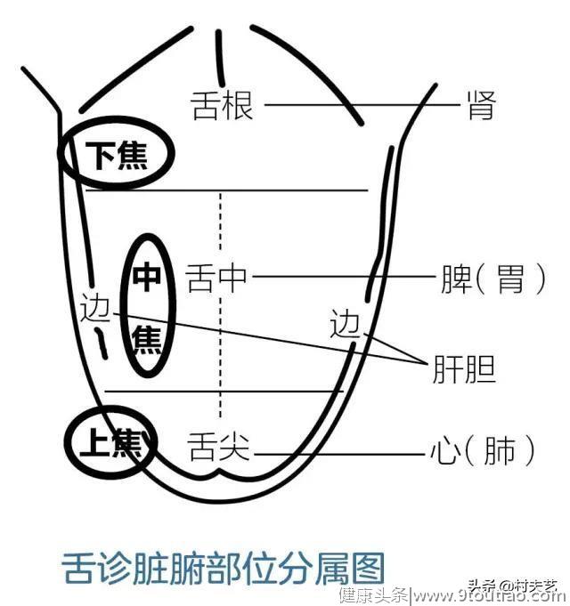 中医舌诊时脉诊的冲击