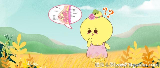 晚婚晚育、频繁做人流手术……这样的你，乳腺癌表示有点稀罕……