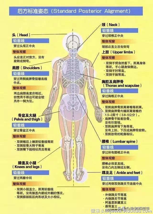 练瑜伽，这2种简单的身体评估方式一定要掌握！