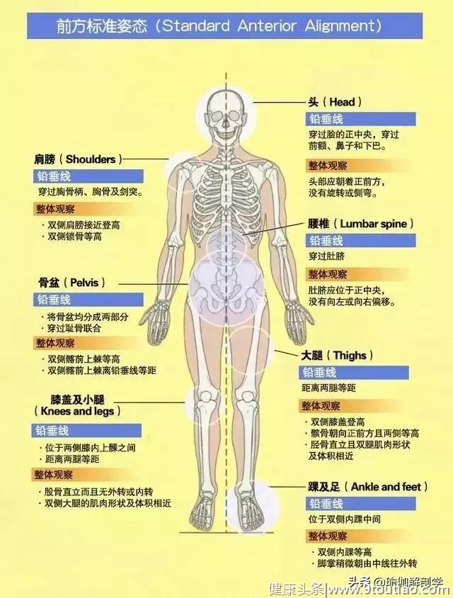 练瑜伽，这2种简单的身体评估方式一定要掌握！