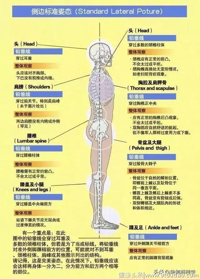 练瑜伽，这2种简单的身体评估方式一定要掌握！