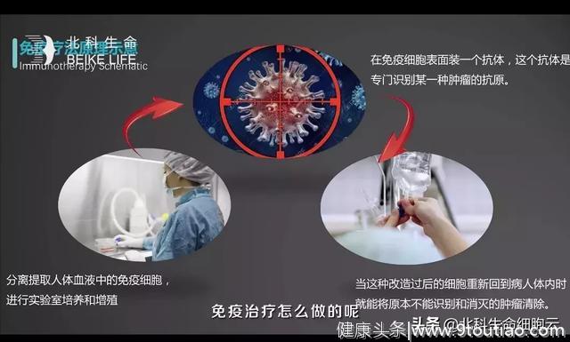 【抗癌周】胡祥博士谈抗癌（2）： 免疫细胞是如何消灭癌细胞的？